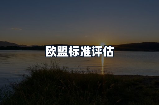 欧盟标准评估